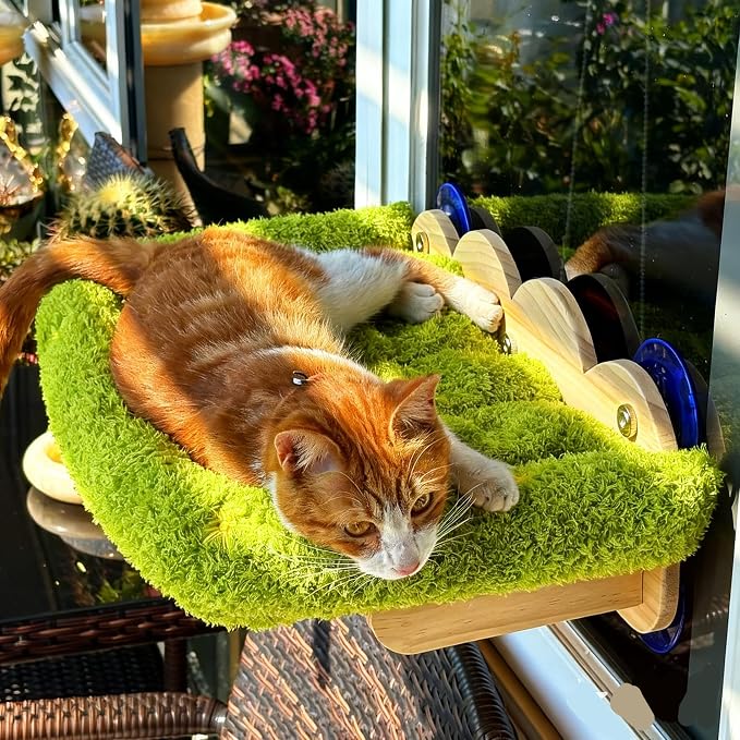 Cat Window Perch,Soft Cushion with Five Powerful Suction Cups,Green | Rubber wood material,Five Powerful Suction Cups,Hand-Embroidered Details,Solid Wood Base