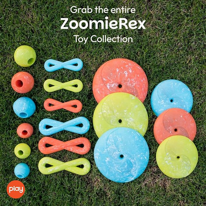 P.L.A.Y. Cute Outdoor Dog Toys - ZoomieRex InfiniDisc Rubber Frisbee, Great for Puppies & Small, Medium, Large Dogs - Dishwasher Safe, Lightweight, Floats in Water, Beach Friendly (Green, Large)