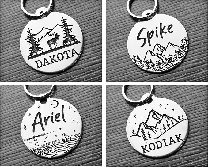DEEP Custom Stainless Steel Pet ID Tags Front and Back Engraved Dog Tags Personalized for Dogs and Cats (Star-MTN.-Round 1-1/4"x1-1/8)