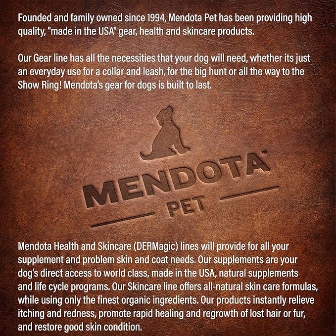 Mendota Pet Slip Leash - Dog Lead and Collar Combo - Made in The USA - Black Ice Turquoise, 1/2 in x 4 ft - for Large Breeds