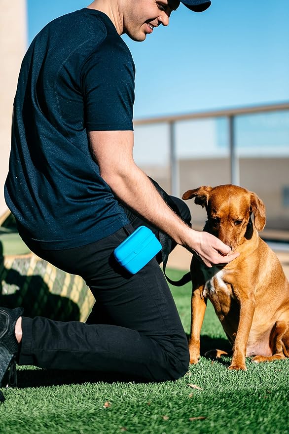 Dexas Pets Pooch Pouch Flexible Dog Treat/Training Treat Clip Pouch, Pro Blue (Pack of 2)