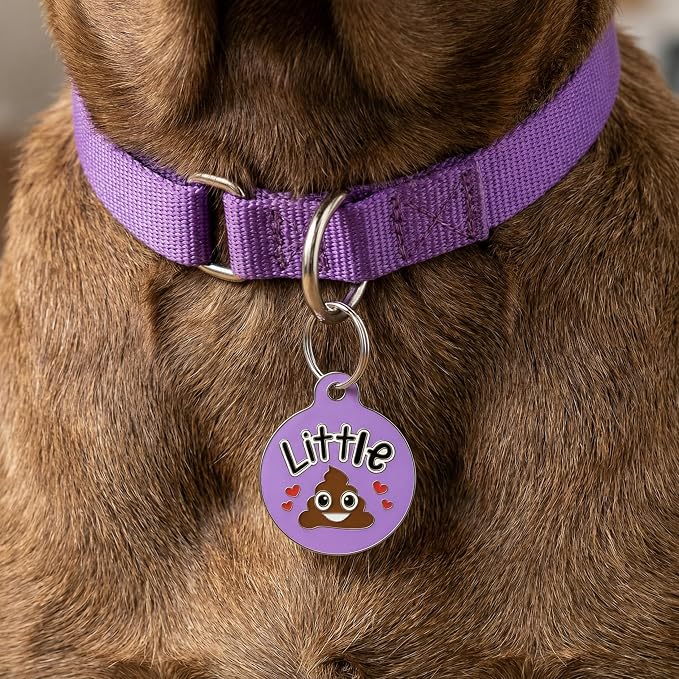Bad Tags Personalized Dog and Cat ID Tags in 25+ Designs and 2 Sizes - 5 Lines of Custom Engraved Text - Funny Cute Personalized Pet Tags (Little Sh*t - Purple, Large (1.25 inch))