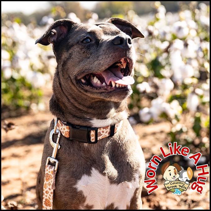 Country Brook Petz - Happy Harvest Everyday Dog Collar - Made in the U.S.A. - Awesome Autumn Collection Featuring Designs You Will Fall for (1 Inch, Medium)