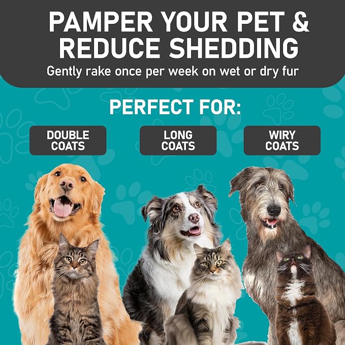 Maxpower Planet Hair Brush - Double Sided Shedding, Dematting Undercoat Rake for Dogs and Cats - Extra Wide Dog Grooming Brush, Reduce Shedding by 95%, Turquoise (Pack of 2)