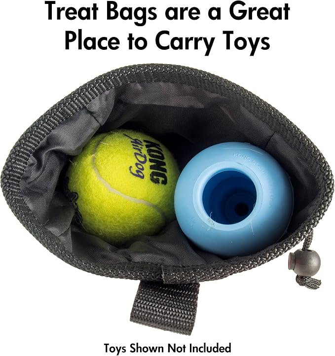 barkOutfitters Reward Treat Pouch - Orange