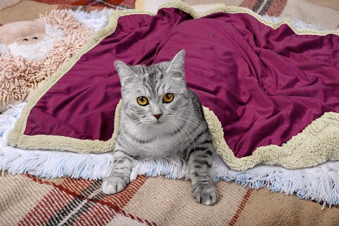 Pawsse Sherpa Puppy Blanket for Small Dogs Kitten, Warm Flannel Plush Pet Bed Blanket Reversible, 45"x30" Wine/Tan