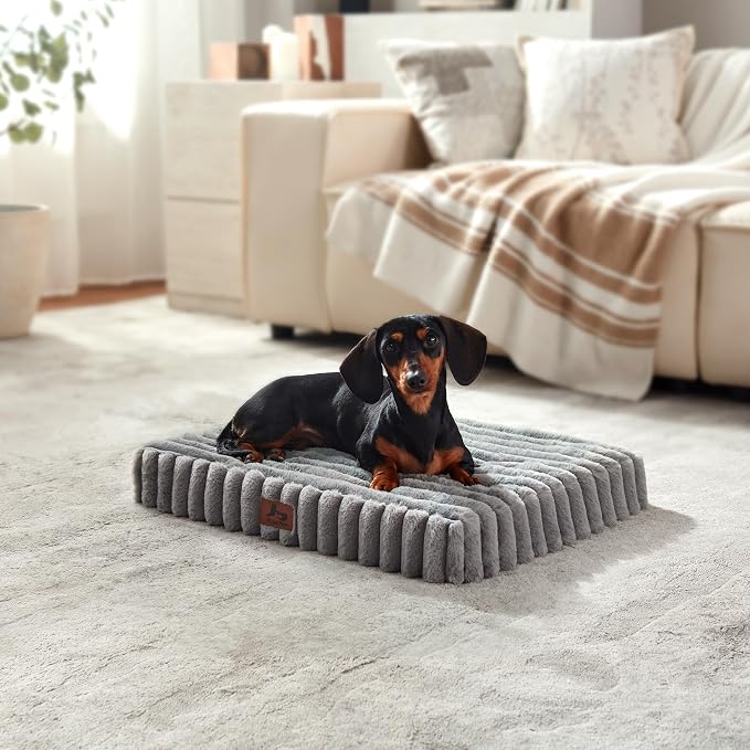 Dog Bed Small Sized for Crate, Orthopedic Pet Pad for Dogs with Removable Washable Cover, Waterproof Dogs Beds Up to 25 lbs, Soft Plush Surface & Egg Foam for Calming, 23x18x3 Inch, Grey