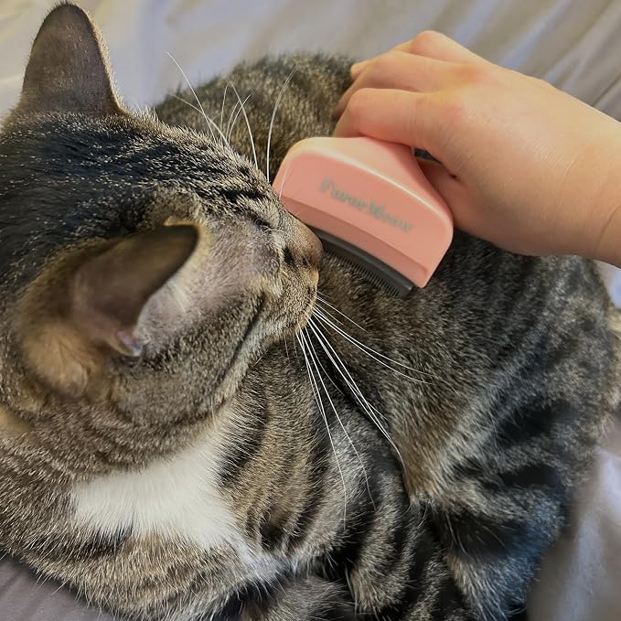 Pet Deshedding Tool with Curve Blade, Cat Grooming Brush, Tight V-shaped Teeth Shedding Comb for Cats and Dogs (Pink, Small)