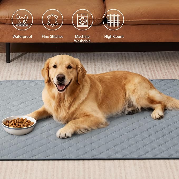 Eterish Reusable Washable Pee Pads for Dogs Extra Large 36'' x 48'' 2 Pack, Absorbent Pet Puppy Dog Training Pads Non-Slip, Waterproof Whelping Potty Pads for Dogs Leak-Proof
