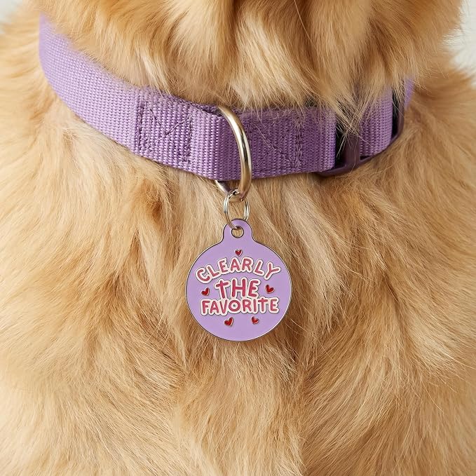 Bad Tags Personalized Dog and Cat ID Tags in 25+ Designs and 2 Sizes - 5 Lines of Custom Engraved Text - Funny Cute Personalized Pet Tags (Clearly The Favorite - Purple, Small (1 inch))