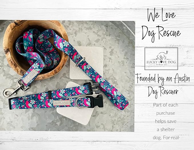 Lucky Love Dog - Adjustable Collar and Leash Set with Easy Click Buckle for Small Dogs, Durable, & Comfortable Collar for Male & Female Dogs, Puppies & Adult - CarrieBelle Combo, XS