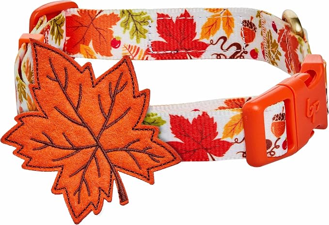 Blueberry Pet Thanksgiving Fall Maple Adjustable Dog Collar with Detachable Accessory, Large, Neck 18"-26"