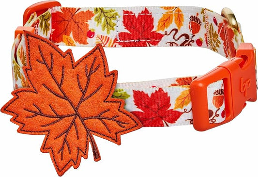Blueberry Pet Thanksgiving Fall Maple Adjustable Dog Collar with Detachable Accessory, Large, Neck 18"-26"