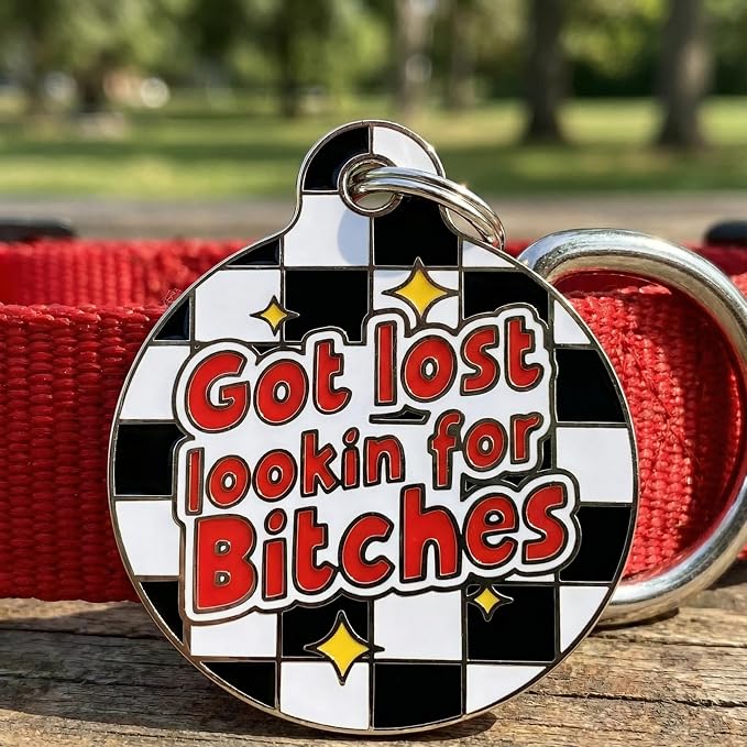 Bad Tags Personalized Dog and Cat ID Tags in 25+ Designs and 2 Sizes - 5 Lines of Custom Engraved Text - Funny Cute Personalized Pet Tags (Got Lost Lookin' for B*tches, Small (1 inch))