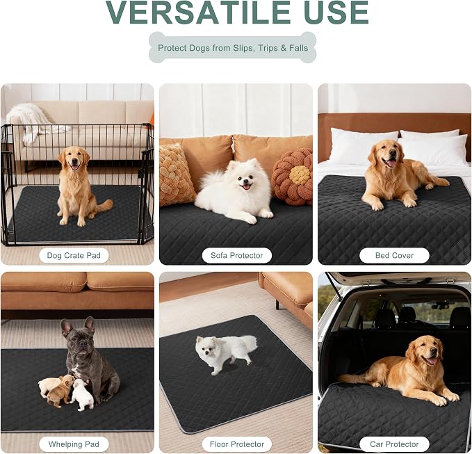 Eterish Reusable Washable Pee Pads for Dogs Large/Extra Large 36'' x 41'' 2 Pack, Absorbent Pet Puppy Dog Training Pads Non-Slip, Waterproof Whelping Potty Pads for Dogs Leak-Proof