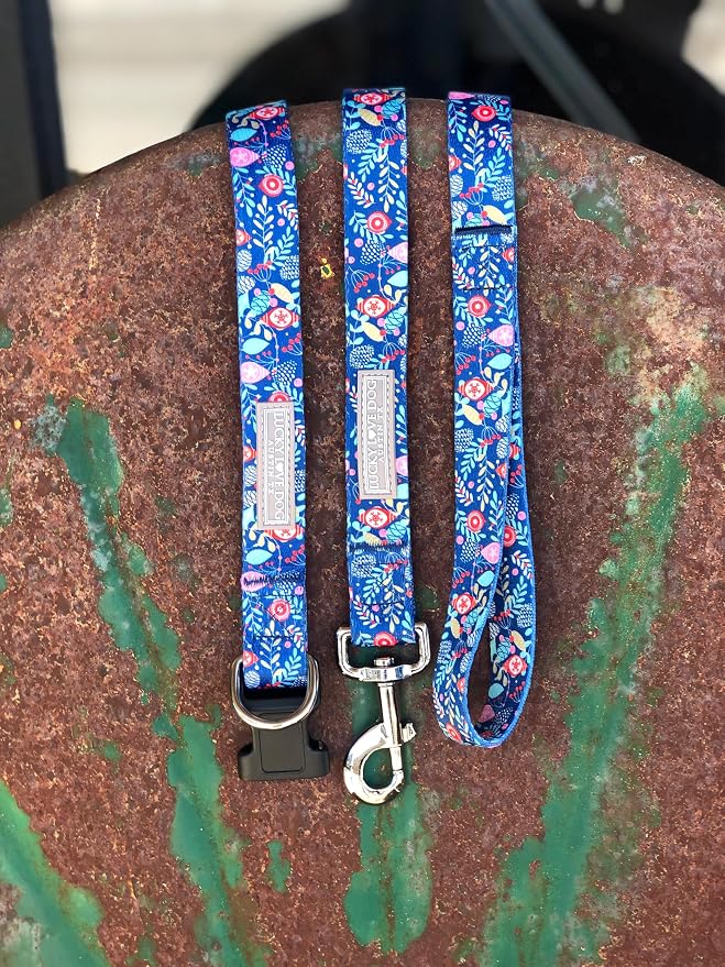 Lucky Love Dog - Adjustable Collar and Leash Set with Easy Click Buckle for Small Dogs, Durable, & Comfortable Collar for Male & Female Dogs, Puppies & Adult - Sweet Holiday Combo, XS