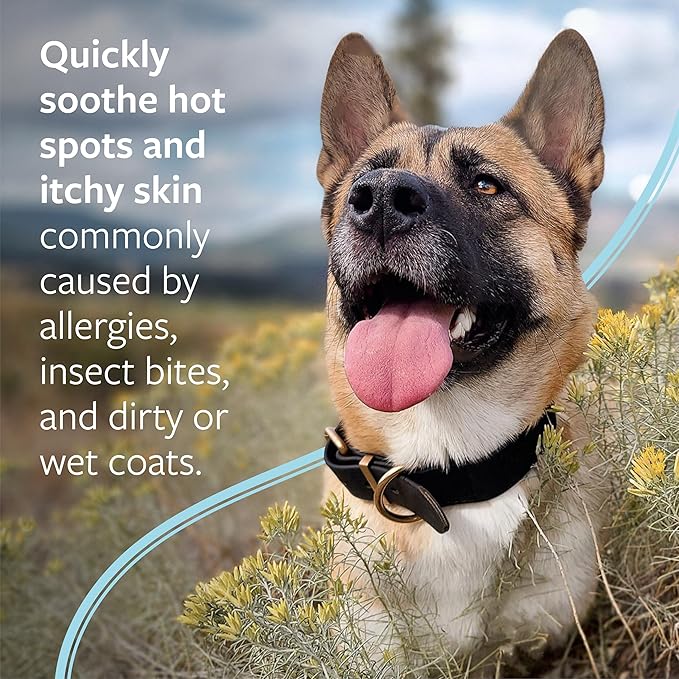 Veterinary Formula Clinical Care Hot Spot & Itch Shampoo, 16 oz, 2-Pack | Medicated shampoo for dogs and cats that helps alleviate sensitive skin, scratching and licking of the coat