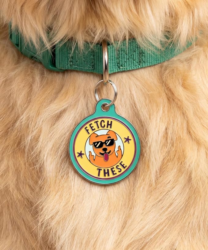 Bad Tags Personalized Dog and Cat ID Tags in 25+ Designs and 2 Sizes - 5 Lines of Custom Engraved Text - Funny Cute Personalized Pet Tags (Fetch These, Small (1 inch))