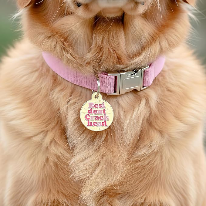 Bad Tags Personalized Dog and Cat ID Tags in 25+ Designs and 2 Sizes - 5 Lines of Custom Engraved Text - Funny Cute Personalized Pet Tags (Resident Crackhead - Yellow, Large (1.25 inch))