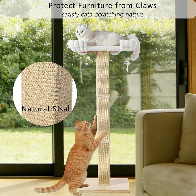 Cat Scratching Post with Large Window Perch, 47-Inch Tall Sisal Cat Tree | Glass Suction-Cup Mounting; For Large Cat & Maine Coons; Thick Square Sisal Post; Ultra-Soft Bolstered Bed; Hold Up to 45 lbs