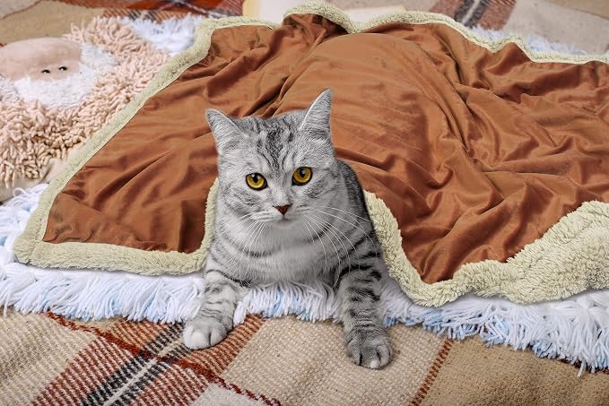 Pawsse Sherpa Puppy Blanket for Small Dogs Kitten, Warm Flannel Plush Pet Bed Blanket Reversible, 45"x30" Brown/Latte