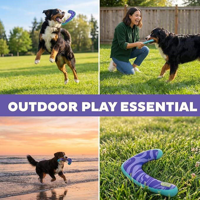Outward Hound FlyFetch Boomerang Dog Toy, Lightweight Foam Core, Rubber Rim, Floats in Water, All Breeds, 11"