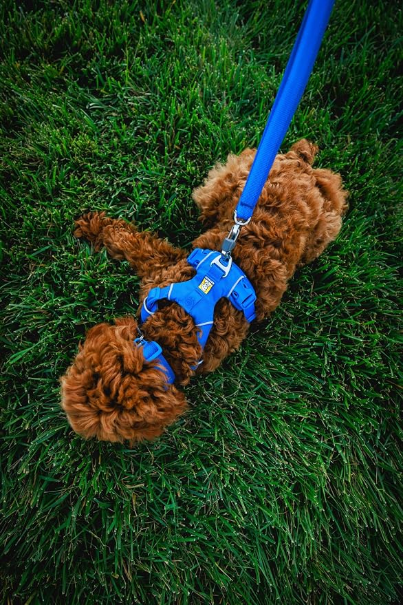 Ruffwear, Front Range Dog Collar, Adjustable Tubelok Webbing, Lightweight, Side Release Buckle, Aluminum V-Ring, Durable for Everyday Use, Blue Pool, 20"-26"