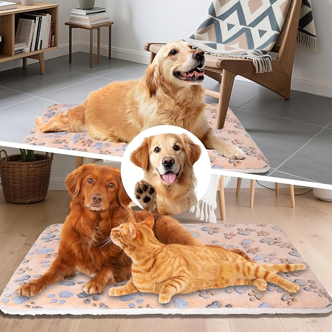 Dog Bed Mat,Soft Dog Kennel Pad with Cute Pattern (Orange Paw, XXL) | Multi-Size Durable & Machine Washable,Pet Pad for Dogs & Cats