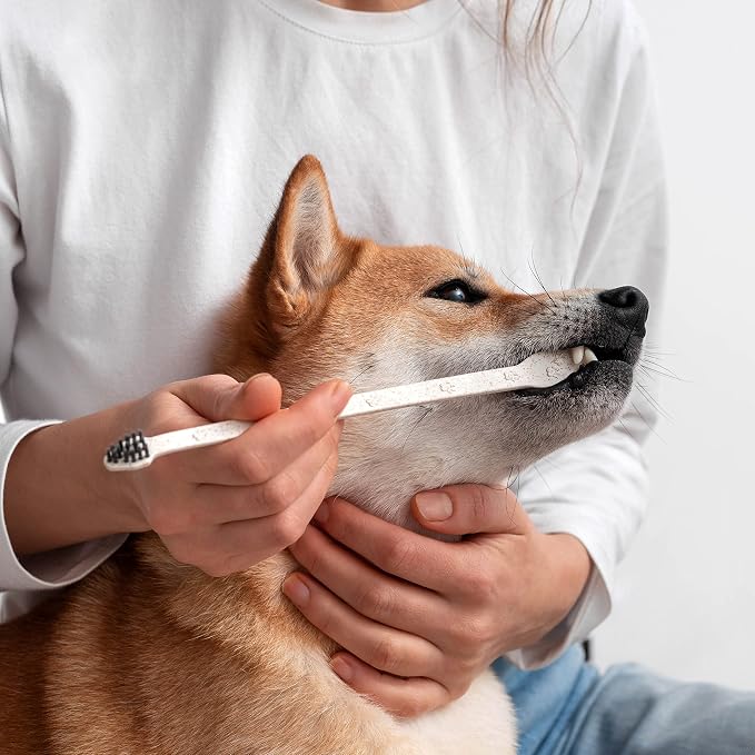 BLEEKER & RÖWE Eco Friendly Pet Toothbrushes, Individually Wrapped, Recyclable Packaging (10)