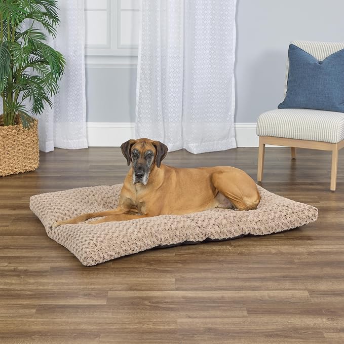 MidWest Homes for Pets Plush Ombre Swirl Dog Bed; Mocha 54-Inch for Giant Breeds