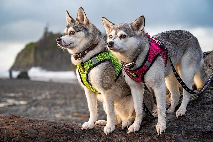 EcoBark Step in Dog Harness Reflective Soft Ultra Padded Mesh Dog Harnesses for XXS, XS, Small, and Medium Dogs Eco-Friendly Comfort Secure Halter No Pull Adjustable Pet Vest