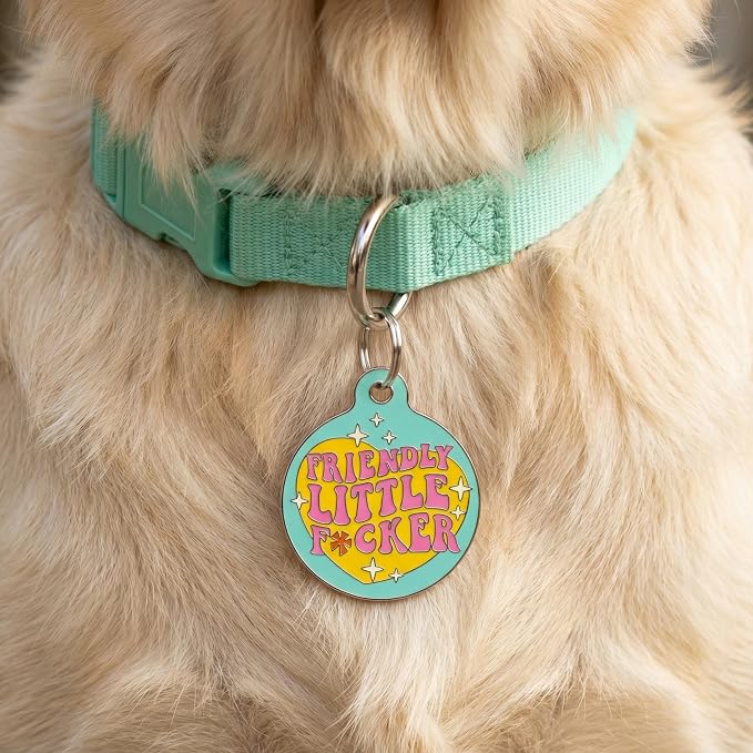 Bad Tags Personalized Dog and Cat ID Tags in 25+ Designs and 2 Sizes - 5 Lines of Custom Engraved Text - Funny Cute Personalized Pet Tags (Friendly Little F*cker, Large (1.25 inch))