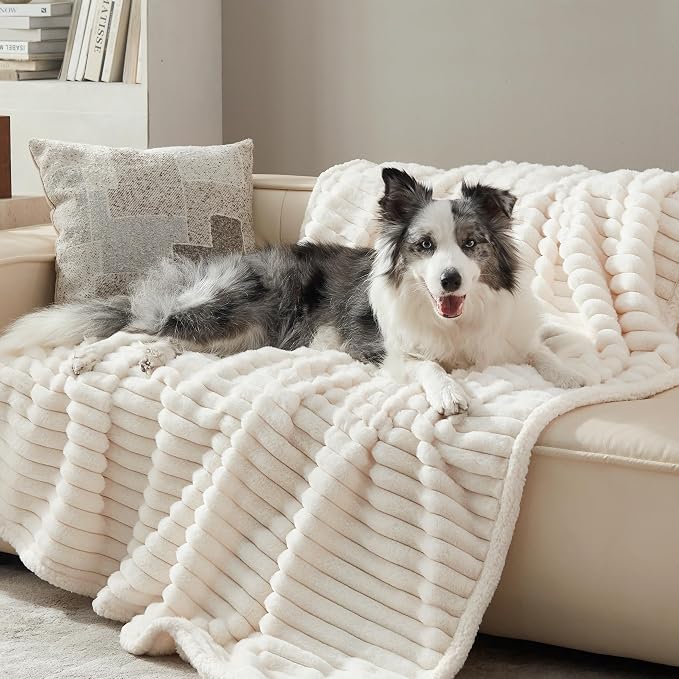 Waterproof Dog Blanket for Large Dogs, Soft Corduroy Fleece Pet Blanket Washable, Double Sided Cat Blankets for Furniture Protection, Reversible Cozy Calming Couch Blanket, 50"x60", Cream