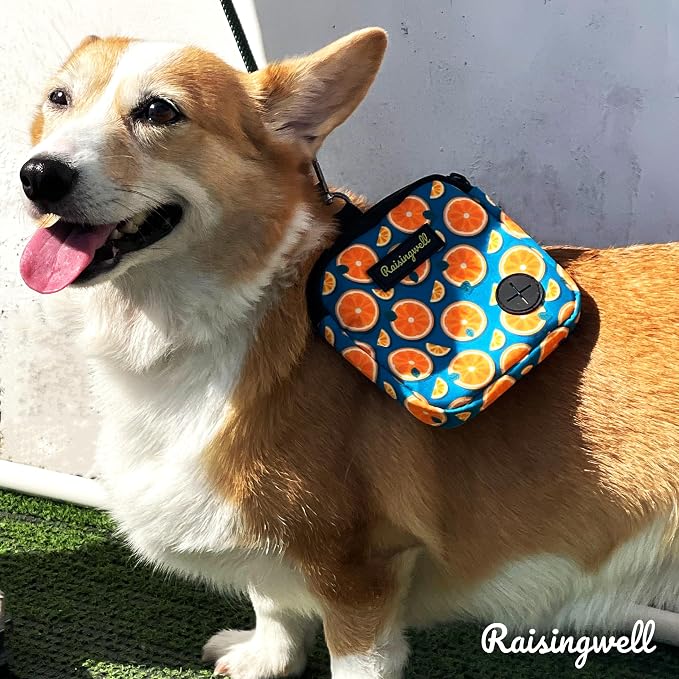 Raisingwell Dog Treat Pouch for Pet Walking and Training with Clicker Poop Bags Small Fanny Zipper Pack Holder for Puppy Snack Dispenser Kit for Leash and Outdoor Use (Fruit Orange)