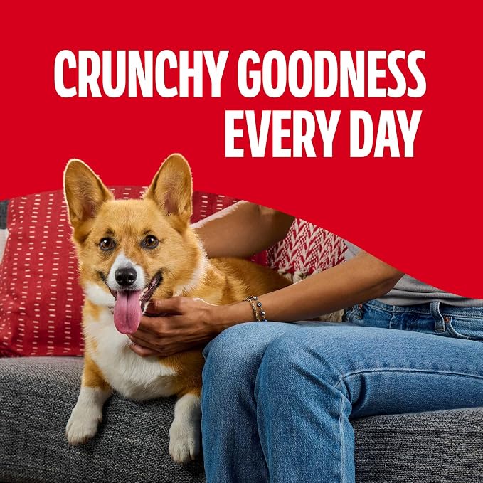 Milk-Bone Flavor Snacks Mini’s Dog Biscuits, Flavored Crunchy Dog Treats, 36 Oz. Canister | 5 calories per treat, 15% protein, 3 flavors per canister (beef, chicken & bacon, naturally & artificially flavored)
