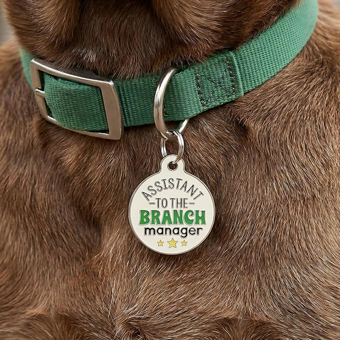 Bad Tags Personalized Dog and Cat ID Tags in 25+ Designs and 2 Sizes - 5 Lines of Custom Engraved Text - Funny Cute Personalized Pet Tags (Assistant to The Branch Manager, Large (1.25 inch))