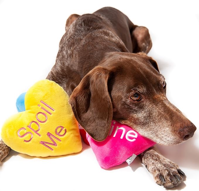 Midlee Candy Heart Valentine's Dog Toy- Set of 4- Large- Conversation Plush Squeaky Present