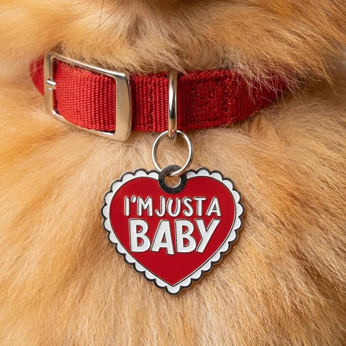 Bad Tags Personalized Dog and Cat ID Tags in 25+ Designs and 2 Sizes - 3 Lines of Custom Engraved Text - Funny Cute Personalized Pet Tags (I'm Just A Baby, Large (1.25 inch))