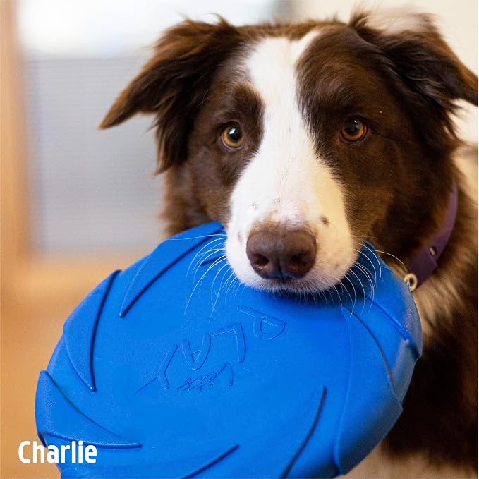 Rosewood Battersea Foam Flyer, Frisbee Dog Toy, 23.5cm x 23.5cm,Blue