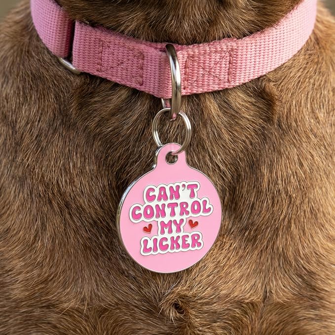 Bad Tags Personalized Dog and Cat ID Tags in 25+ Designs and 2 Sizes - 5 Lines of Custom Engraved Text - Funny Cute Personalized Pet Tags (Can't Control My Licker - Pink, Large (1.25 inch))