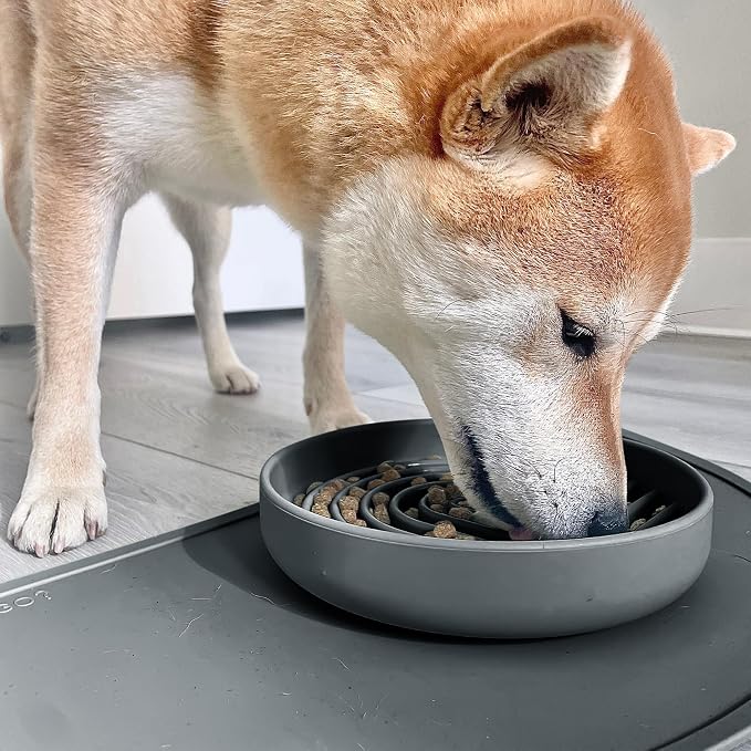 Should We Go? Slow Feeder Dog Bowls - Medium Size Silicone Slow Eating Dog Bowl for Puppies & Dogs with Suction Cup -Dishwasher-Safe,Lick Mat Design,Reduces Gulping,for All Breeds,7.5”x1.5”- Charcoal
