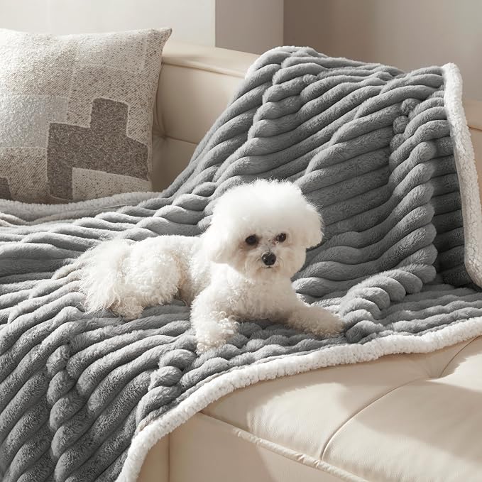Waterproof Dog Blanket for Small Dogs, Corduroy Fleece Pet Blanket Washable, Dual-Sided Puppy Cat Blankets for Furniture Protection, Cozy Calming Couch Blanket for Doggy, 25"x35", Grey