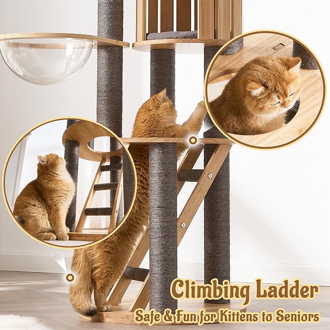 Modern Cat Tree Tower with Scratching Post, 61.5in Tall Cat Tree for Indoor Cats, Multi-Level Solid Wood Cat Furniture with Ladder, Cozy Cat Beds, Cat Condo, Capsule Nest, Dangling Toy, Gray