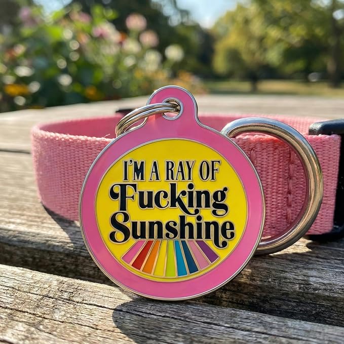 Bad Tags Personalized Dog and Cat ID Tags in 25+ Designs and 2 Sizes - 5 Lines of Custom Engraved Text - Funny Cute Personalized Pet Tags (I'm A Ray of F*cking Sunshine - Pink, Large (1.25 inch))