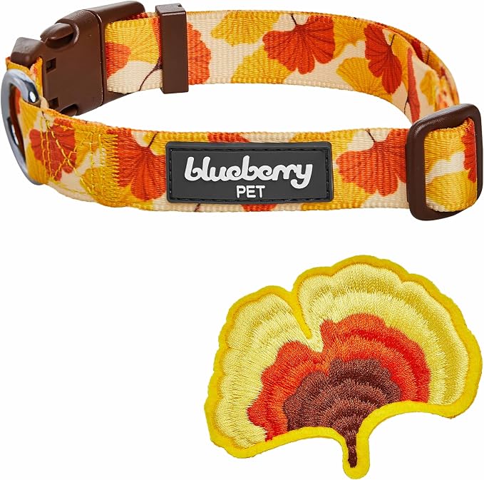 Blueberry Pet Thanksgiving Fall Ginkgo Biloba Leaf Adjustable Dog Collar with Detachable Accessory, Large, Neck 18"-26"