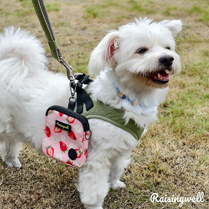 Raisingwell Dog Treat Pouch for Pet Walking and Training with Clicker Poop Bags Small Fanny Zipper Pack Holder for Puppy Snack Dispenser Kit for Leash and Outdoor Use (Strawberry)