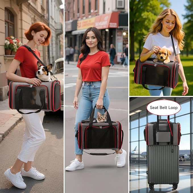 EliteField Soft-Sided Pet Carrier (3-Year Warranty, Airline Approved), Foldable Travel Bag with Removable Fleece Bed for Dogs, Cats & Small Pets, Scratch-Resistant Mesh