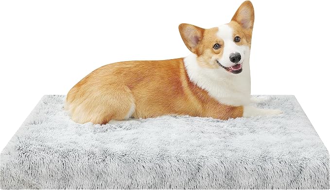 Orthopedic Long Plush Cover Dog Bed,Medium L Sized Dog 36''X27''x3'' Soft Waterproof Egg Foam Pet Crate Beds Mat or Kennel Pads with Removable Washable Cover,Non-Slip Bottom,Light Grey