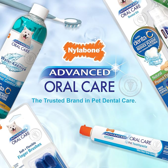 Nylabone Advanced Oral Care Natural Dog Dental Kit Peanut Flavor 2.5 oz.