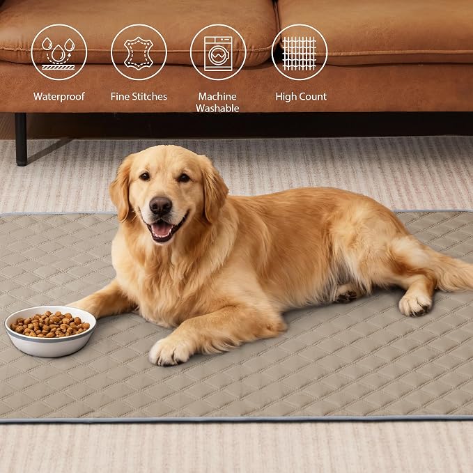 Eterish Reusable Washable Pee Pads for Dogs Large/Extra Large 36'' x 41'' 2 Pack, Absorbent Pet Puppy Dog Training Pads Non-Slip, Waterproof Whelping Potty Pads for Dogs Leak-Proof